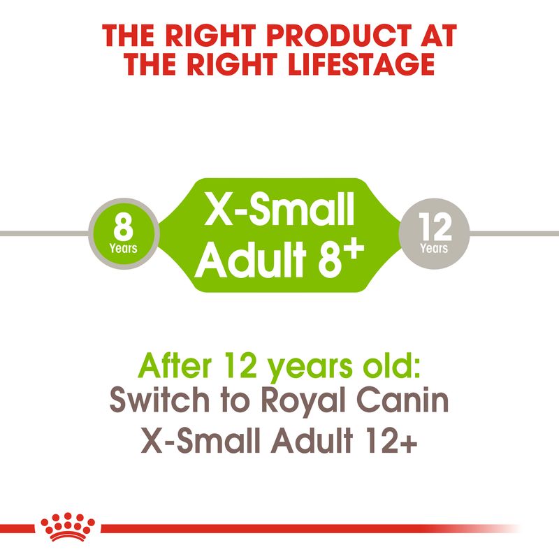 Текст на английском: X-Small Adult 8+, 8 Years, 12 Years. After 12 years old: Switch to Royal Canin X-Small Adult 12+. The right product at the right lifestage.