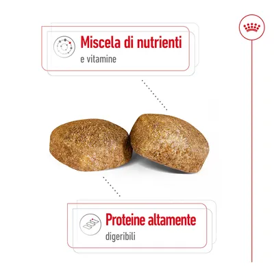 Due crocchette con testo: 'Miscela di nutrienti e vitamine' e 'Proteine altamente digeribili'.