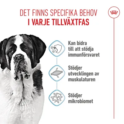 Royal Canin Giant Junior Royal Canin Giant Junior
