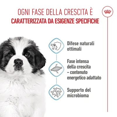 Royal Canin Giant Puppy
