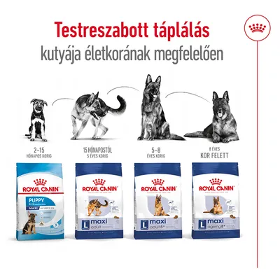 Royal Canin kutyatápok: Puppy 2–15 hónapos korig, Maxi Adult 15 hónapostól 5 éves korig, Maxi Adult 5+ 5–8 éves korig, Maxi Ageing 8+ 8 éves kor felett. Testreszabott táplálás.