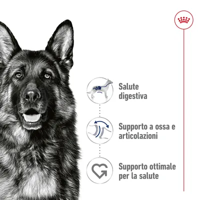 Salute digestiva, supporto a ossa e articolazioni, supporto ottimale per la salute; icone illustrative accanto a un cane. Marchio con corona rossa in alto a destra.