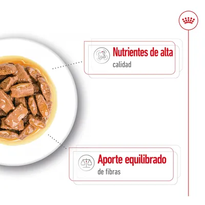 Comida húmeda en salsa en un plato. Texto: Nutrientes de alta calidad, Aporte equilibrado de fibras.
