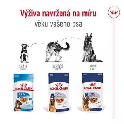 Royal Canin: výživa navržená na míru věku psa. Puppy 2 až 15 měsíců, Maxi Adult 15 měsíců až 5 let, Maxi Ageing více než 5 let. Obaly produktů a ilustrace psů.