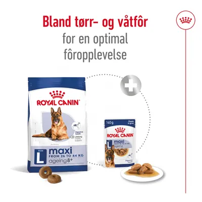 Royal Canin Maxi Ageing 8+