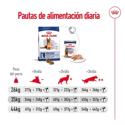 Tabla de pautas de alimentación diaria Royal Canin maxi ageing 8+ para perros de 26, 35 y 44 kg según actividad física; incluye cantidades en gramos de pienso y lata.