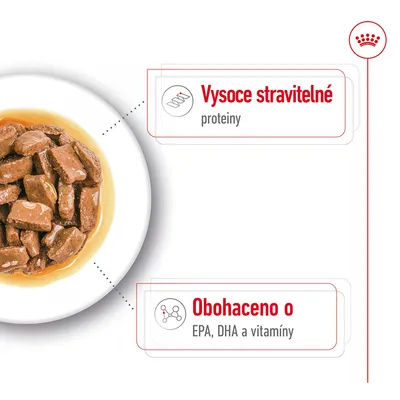 Vysoce stravitelné proteiny. Obohaceno o EPA, DHA a vitamíny. Miska s kousky krmiva v omáčce.