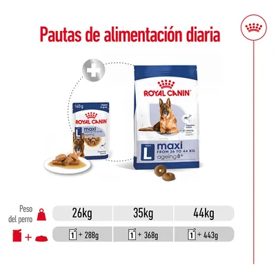 Pautas de alimentación diaria Royal Canin Maxi Ageing 8+: para perros de 26 kg, 1 sobre + 288 g; 35 kg, 1 sobre + 368 g; 44 kg, 1 sobre + 443 g.