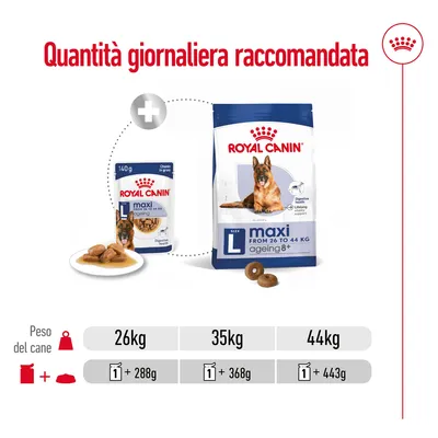 Quantità giornaliera raccomandata Royal Canin Maxi Ageing 8+ L: per cani 26 kg 1 bustina + 288 g, 35 kg 1 bustina + 368 g, 44 kg 1 bustina + 443 g.
