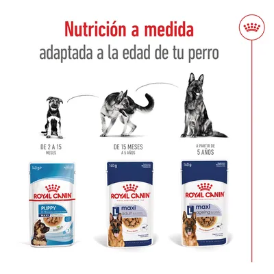 Royal Canin Puppy 2–15 meses, Maxi Adult 15 meses–5 años y Maxi Ageing a partir de 5 años. Nutrición adaptada según la edad del perro. Cada envase contiene 140 g.