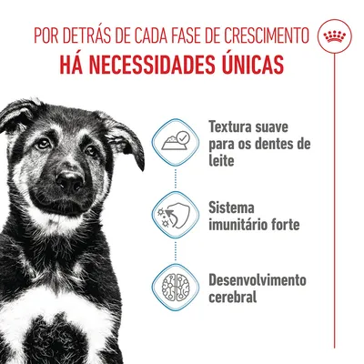 Royal Canin Maxi Puppy em molho
