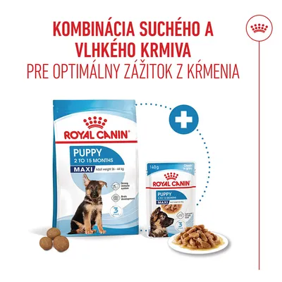 Royal Canin Maxi Puppy v omáčke