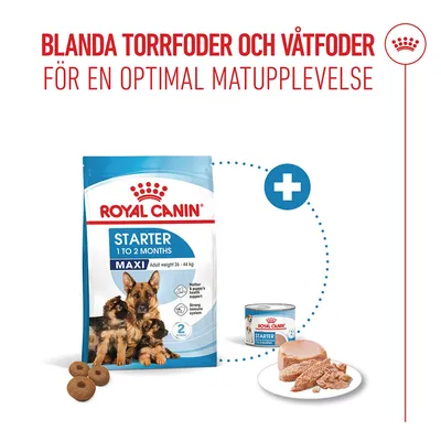 Royal Canin Maxi Starter Mother & Babydog Royal Canin Maxi Starter Mother & Babydog