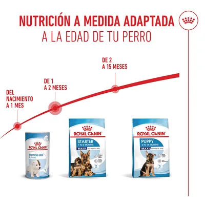 Royal Canin Maxi Starter Mother & Babydog Royal Canin Maxi Starter Mother & Babydog