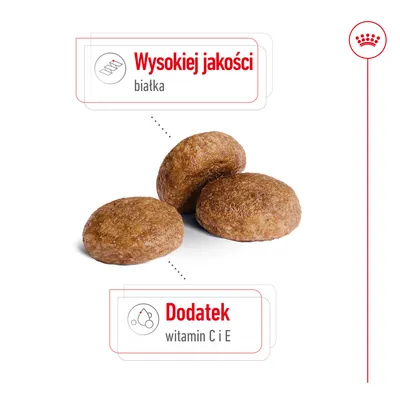 Wysokiej jakości białka. Dodatek witamin C i E. Wysokiej jakości białka. Dodatek witamin C i E.