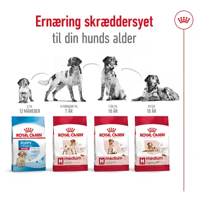 Royal Canin hundefoder til forskellige aldre: Puppy 2–12 måneder, Medium Adult 12 måneder–7 år, Medium Adult 7+ 7–10 år, Medium Ageing 10+ efter 10 år. Ernæring skræddersyet.
