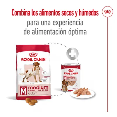 Royal Canin medium adult seco y húmedo para perros de 11 a 25 kg. Texto: Combina los alimentos secos y húmedos para una experiencia de alimentación óptima.