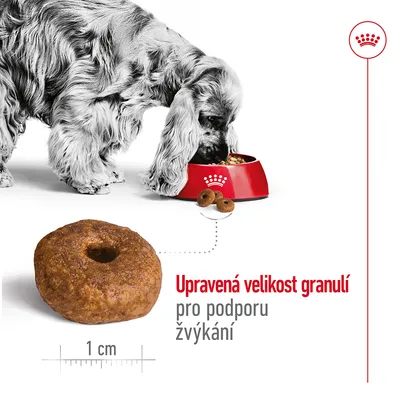 Pes u misky s granulemi, detail granule o průměru 1 cm. Text: Upravená velikost granulí pro podporu žvýkání.