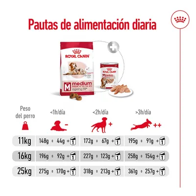 Tabla de pautas de alimentación diaria Royal Canin Medium Ageing 10+ para perros de 11, 16 y 25 kg según actividad física, con cantidades en gramos de pienso y lata.