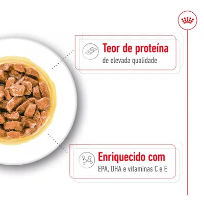 Teor de proteína de elevada qualidade. Enriquecido com EPA, DHA e vitaminas C e E.
