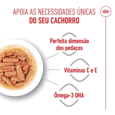 Royal Canin Medium Puppy em molho
