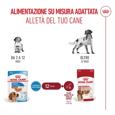 Royal Canin Medium Puppy in salsa