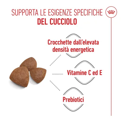 Royal Canin Medium Starter Mother & Babydog Crocchette per cane Royal Canin Medium Starter Mother & Babydog Crocchette per cane