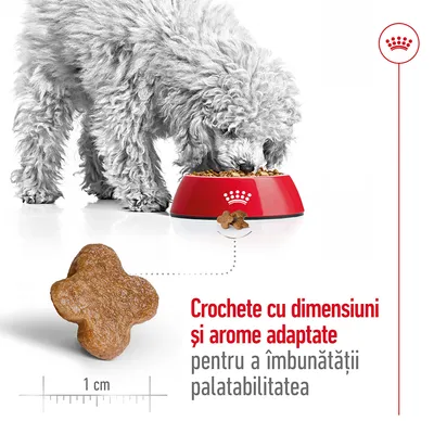 Câine mâncând din bol roșu Royal Canin, crochetă de 1 cm prezentată. Text: Crochete cu dimensiuni și arome adaptate pentru a îmbunătăți palatabilitatea.