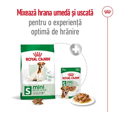Royal Canin mini adult 8+ până la 10 kg, hrană uscată și umedă pentru câini, pachet 85 g. Text: Mixează hrana umedă și uscată pentru o experiență optimă de hrănire.