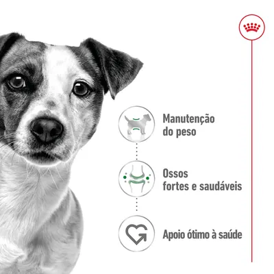 Manutenção do peso, ossos fortes e saudáveis, apoio ótimo à saúde – texto visível junto a ícones ilustrativos ao lado de um cão. Coroa vermelha no canto superior direito. Manutenção do peso, ossos fortes e saudáveis, apoio ótimo à saúde – texto visível junto a ícones ilustrativos ao lado de um cão. Coroa vermelha no canto superior direito.