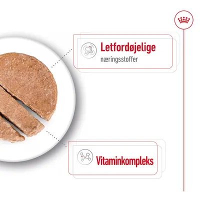 Letfordøjelige næringsstoffer, vitaminkompleks. Billede af skivet vådfoder på hvid tallerken med tekstbokse, der fremhæver disse egenskaber.
