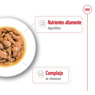 Comida húmeda en salsa en un plato. Texto: Nutrientes altamente digestibles, Complejo de vitaminas.