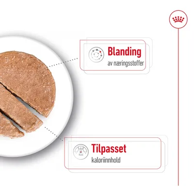 Royal Canin Mini Ageing Mousse