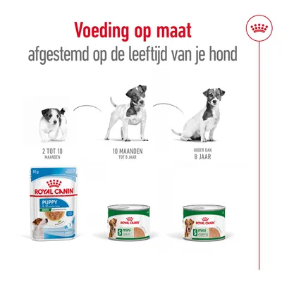 Royal Canin natvoer voor honden: Puppy 2–10 maanden, Mini Adult 10 maanden tot 8 jaar, Mini Ageing ouder dan 8 jaar. Voeding op maat afgestemd op de leeftijd van je hond.