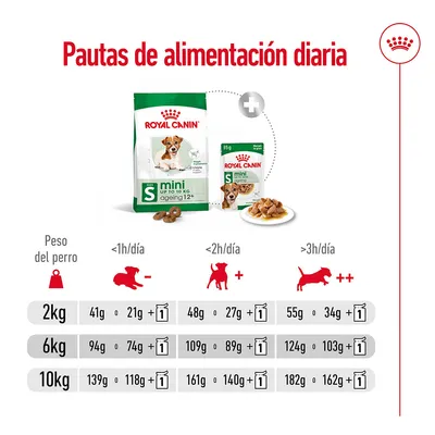 Pautas de alimentación diaria Royal Canin Mini Ageing 12+: tabla por peso del perro (2, 6, 10 kg) y actividad física, con cantidades en gramos de pienso y sobres húmedos.
