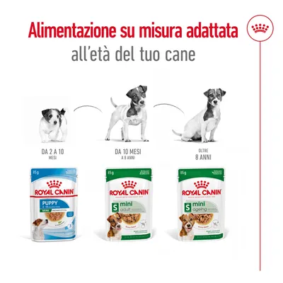 Alimentazione su misura Royal Canin per cani: Puppy da 2 a 10 mesi, Mini Adult da 10 mesi a 8 anni, Mini Ageing oltre 8 anni. Immagini dei prodotti e delle fasce d'età canine.