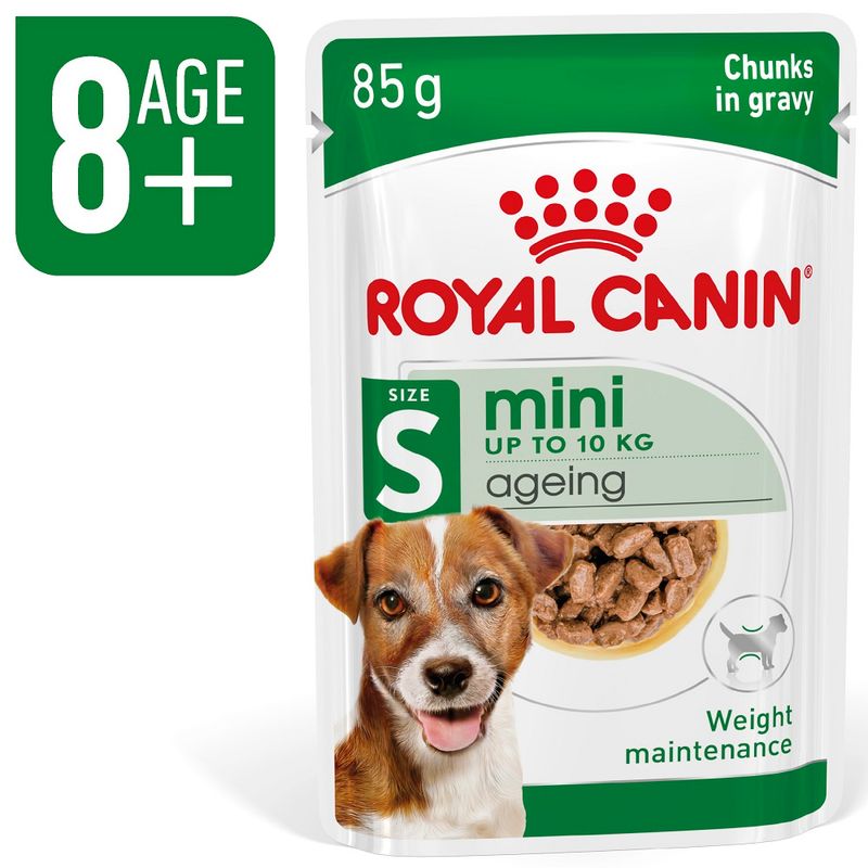 Royal Canin Mini Ageing em molho