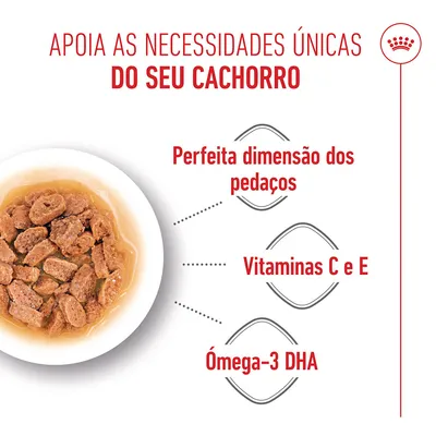 Royal Canin Mini Puppy em molho