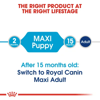 MAXI Puppy 2–15 kuukautta. Yli 15 kk: vaihda Royal Canin Maxi Adult -ruokaan. Teksti englanniksi: After 15 months old: Switch to Royal Canin Maxi Adult.