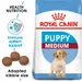 Royal Canin Medium Puppy