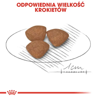 Trzy krokiety karmy na tle szkicu z miarką 1 cm, tekst: Odpowiednia wielkość krokietów. Przykład rozmiaru produktu dla zwierząt.