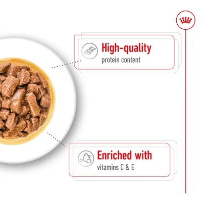 Wet food chunks in gravy with highlighted features: high-quality protein content and enriched with vitamins C and E.