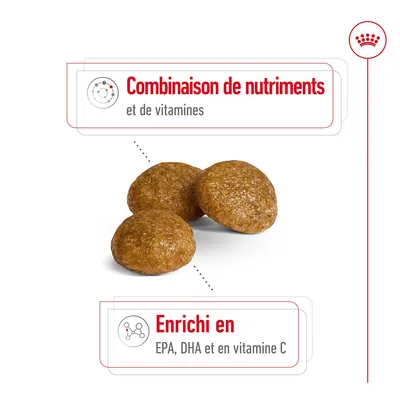 Croquettes avec texte : Combinaison de nutriments et de vitamines. Enrichi en EPA, DHA et en vitamine C.