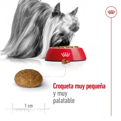 Croqueta de pienso muy pequeña, 1 cm de diámetro. Texto: Croqueta muy pequeña y muy palatable. Perro pequeño comiendo en un cuenco rojo con símbolo de corona.