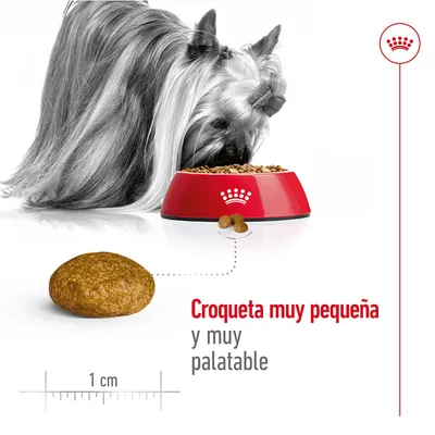 Croqueta de pienso muy pequeña, aproximadamente 1 cm, con texto: 'Croqueta muy pequeña y muy palatable'. Perro pequeño comiendo en cuenco rojo con corona blanca.