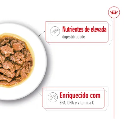 Nutrientes de elevada digestibilidade. Enriquecido com EPA, DHA e vitamina C.