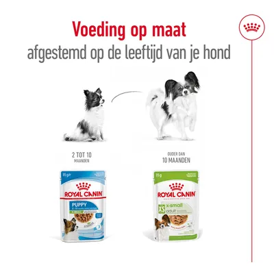 Voeding op maat afgestemd op de leeftijd van je hond. Royal Canin Puppy 2–10 maanden, Royal Canin XS Adult ouder dan 10 maanden, verpakkingen en kleine hond zichtbaar.