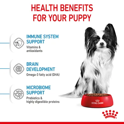 Health benefits for your puppy: immune system support with vitamins and antioxidants, brain development with omega-3 fatty acid (DHA), microbiome support with prebiotics and digestible proteins.