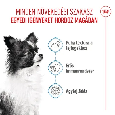 Royal Canin X-Small Puppy szószban