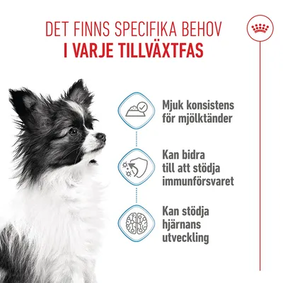 Royal Canin X-Small Puppy i sås